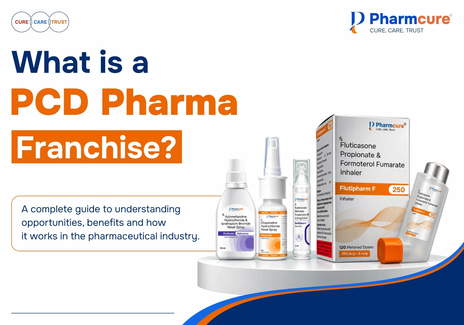 What is a PCD Pharma Franchise?